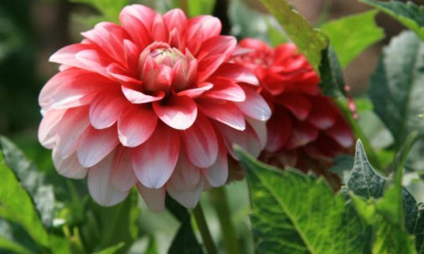 立了春就是春天了吗