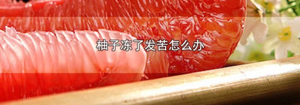 柚子冻了发苦怎么办