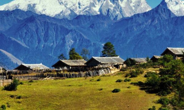 cp粉和唯粉是什么意思