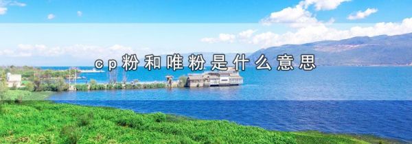 cp粉和唯粉是什么意思