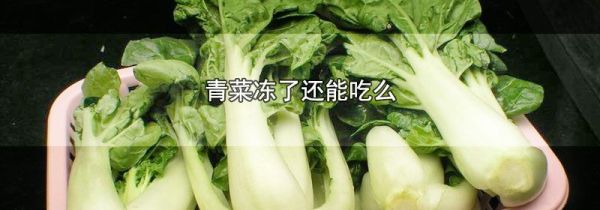 青菜冻了还能吃么