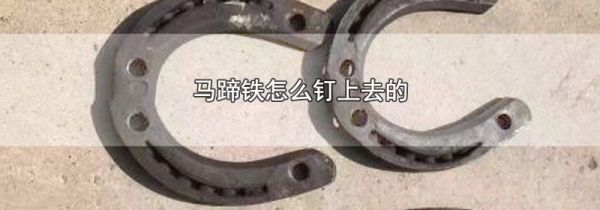马蹄铁怎么钉上去的