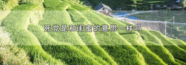 死党是和闺蜜的意思一样吗