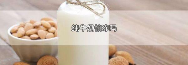 纯牛奶怕冻吗