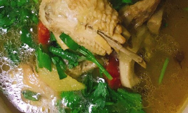 土鸡是什么意思