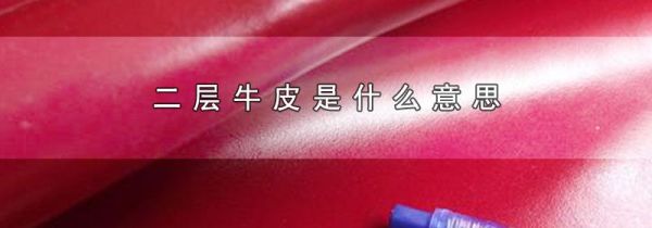 二层牛皮是什么意思