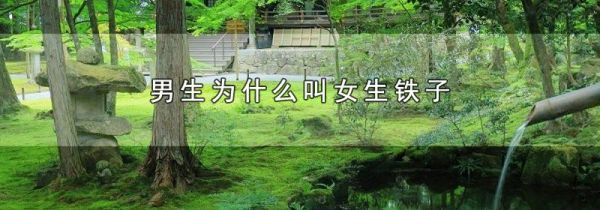 男生为什么叫女生铁子