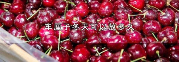 车厘子冬天可以放多久