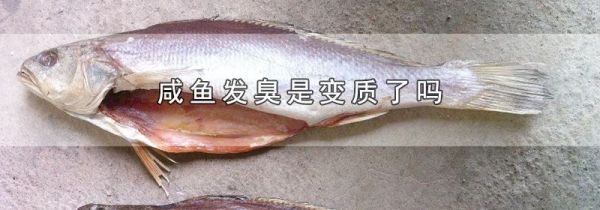咸鱼发臭是变质了吗