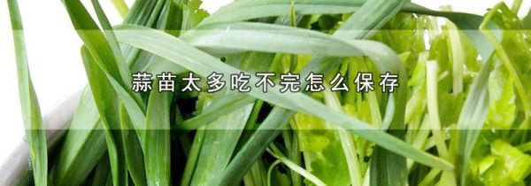 蒜苗太多吃不完怎么保存