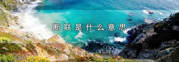 断联是什么意思
