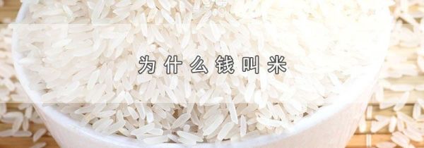 为什么钱叫米