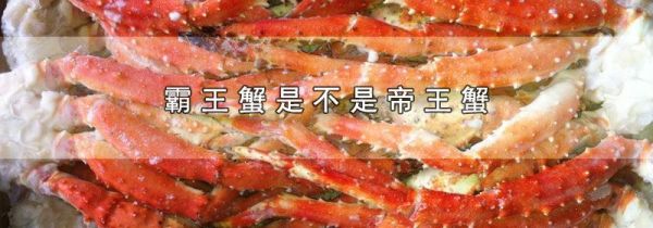霸王蟹是不是帝王蟹