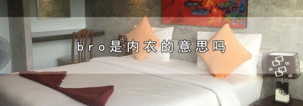 bro是内衣的意思吗