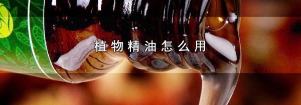 植物精油怎么用
