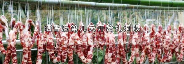 晒香肠第几天开始扎洞眼