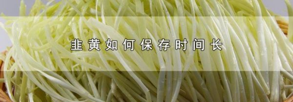 韭黄如何保存时间长