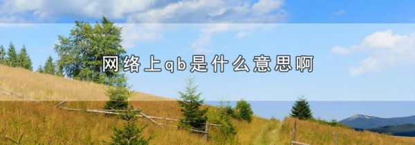 网络上qb是什么意思啊