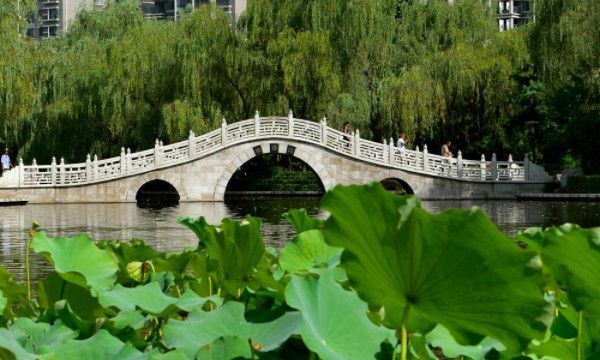 网络上qb是什么意思啊