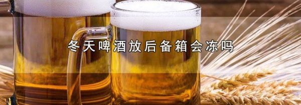 冬天啤酒放后备箱会冻吗