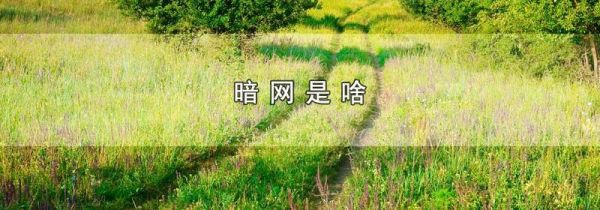 暗网是啥
