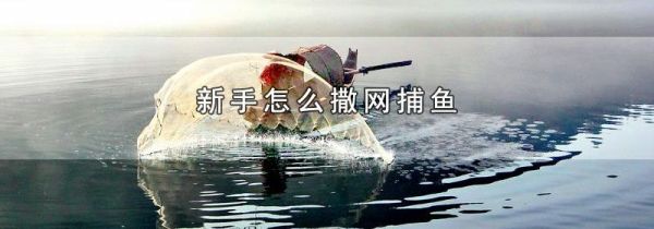 新手怎么撒网捕鱼