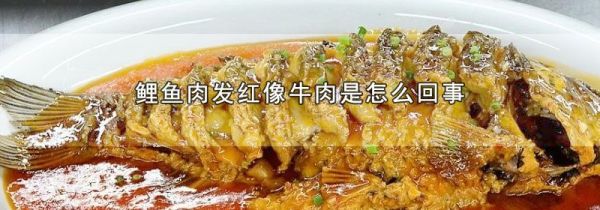 鲤鱼肉发红像牛肉是怎么回事
