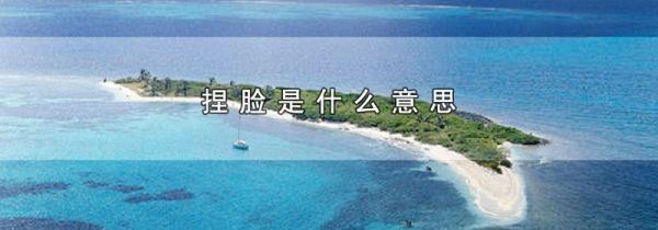 捏脸是什么意思