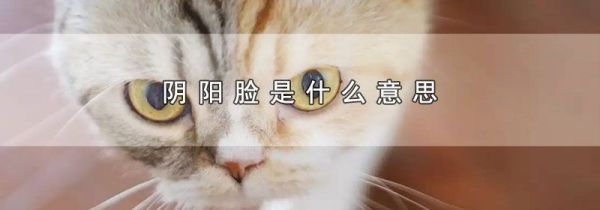 阴阳脸是什么意思