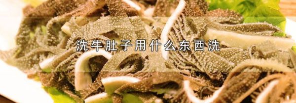洗牛肚子用什么东西洗