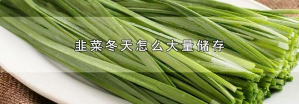 韭菜冬天怎么大量储存