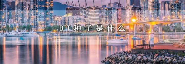 BT种子是什么
