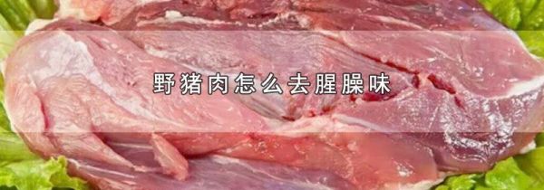 野猪肉怎么去腥臊味