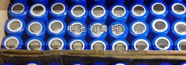 电池有毒吗