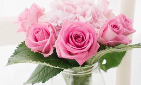 无水印是什么意思