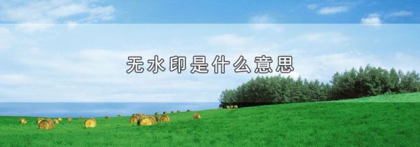无水印是什么意思
