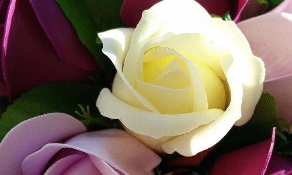 牛皮克拉斯意思