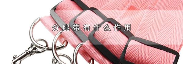 分腿带有什么作用