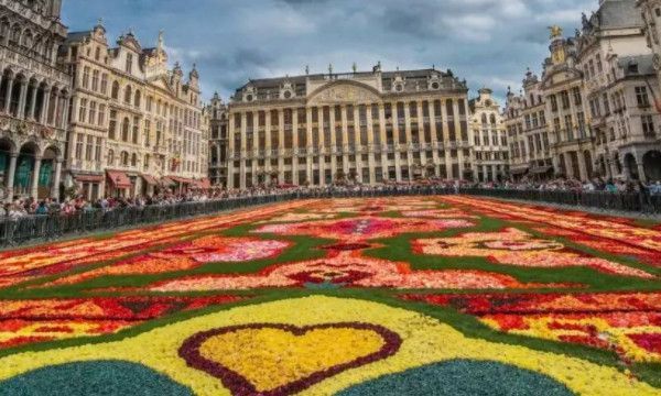 饭圈里说的广场是什么