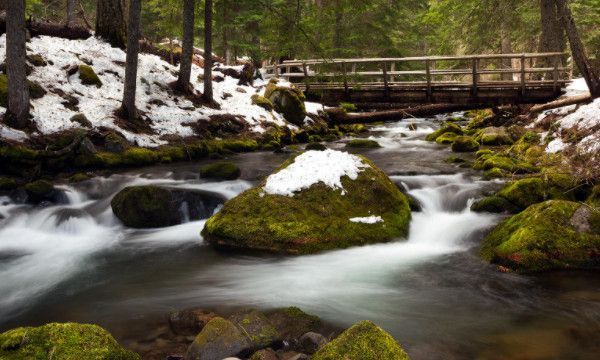 捧高踩低是什么意思