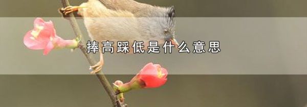 捧高踩低是什么意思