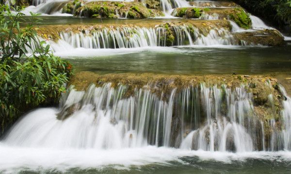 捧高踩低是什么意思
