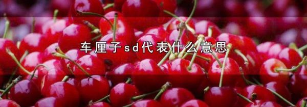车厘子sd代表什么意思