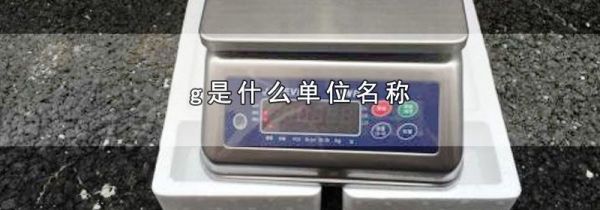 g是什么单位名称