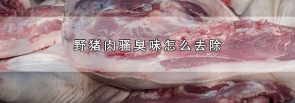 野猪肉骚臭味怎么去除