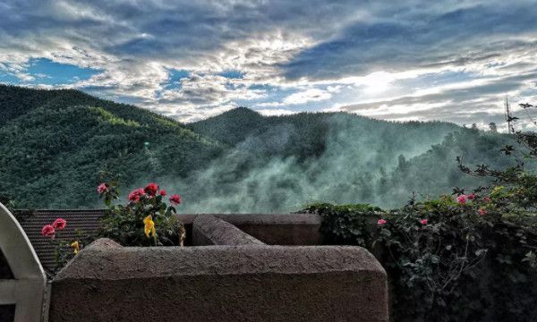 网络语啵啵是什么意思