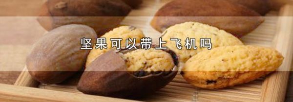 坚果可以带上飞机吗