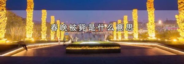 春晚被毙是什么意思