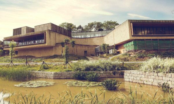 四次元是什么意思啊