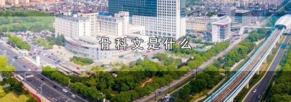 骨科文是什么